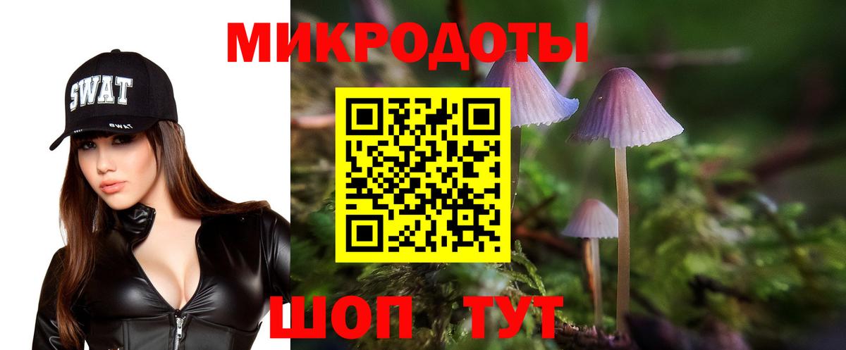 где купить   Вход с VPN  Озёрск  Псилоцибиновые грибы мухоморы 
